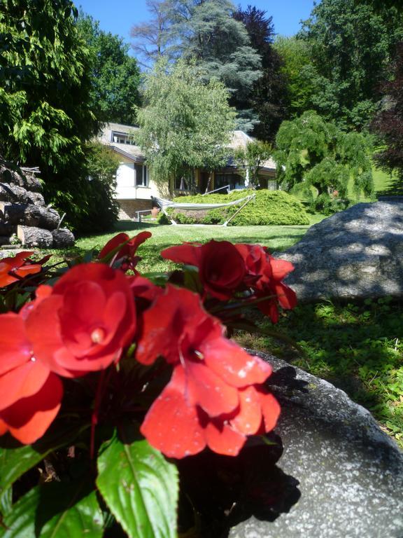 Il Colombe B&B Barzano Exterior photo