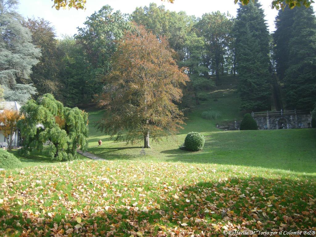Il Colombe B&B Barzano Exterior photo